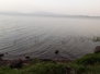 Äthiopien Awasa Lake