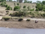 Tansanien Tierbeobachtungen Marariver