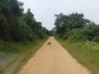 Uganda Murchison Affen
